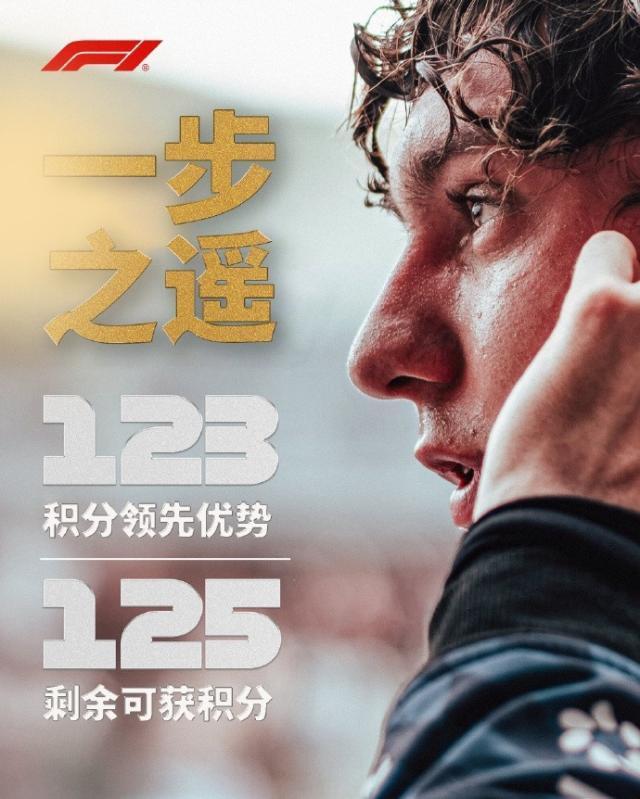 专业永利ylg服务