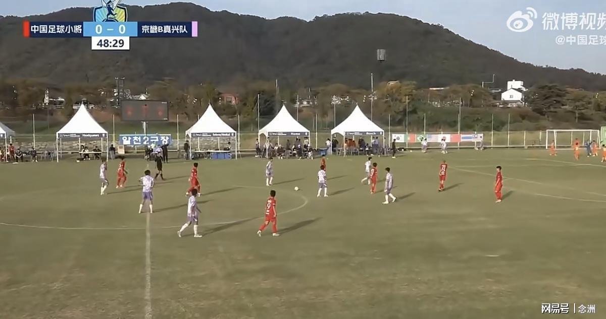 永利ylg案例展示
